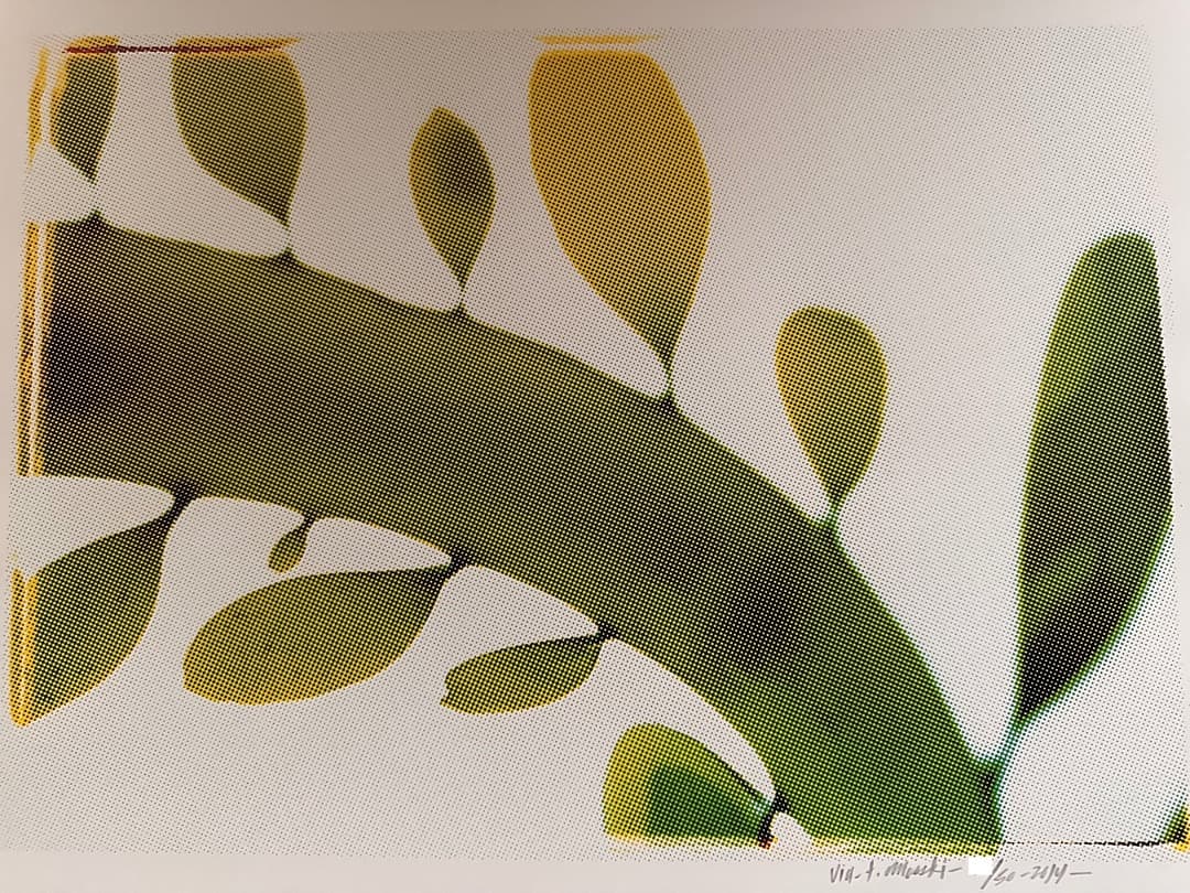 トーマス キャンベル プリント　サイン入り