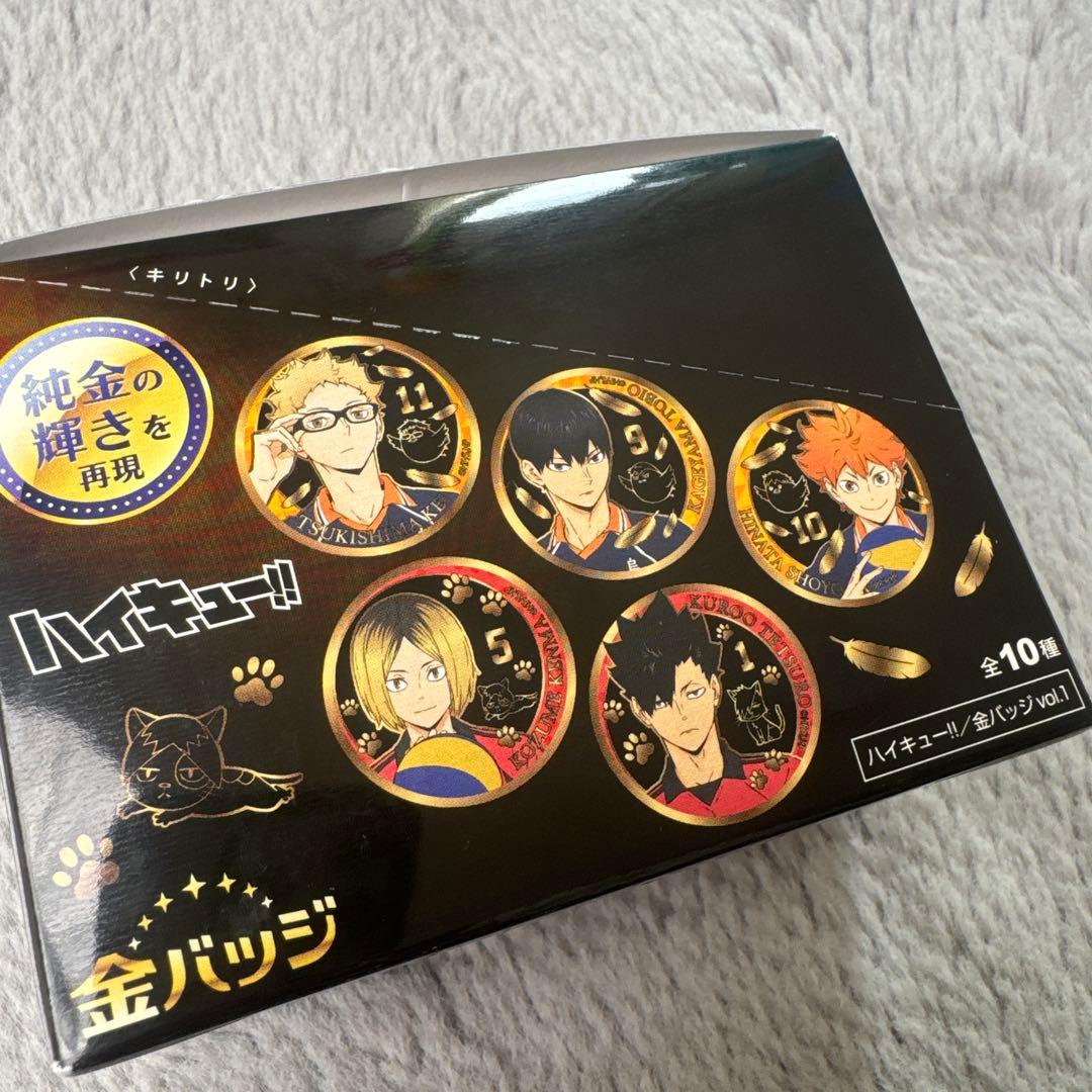 ハイキュー！！ 金バッジ Vol.1　10個入りBOX