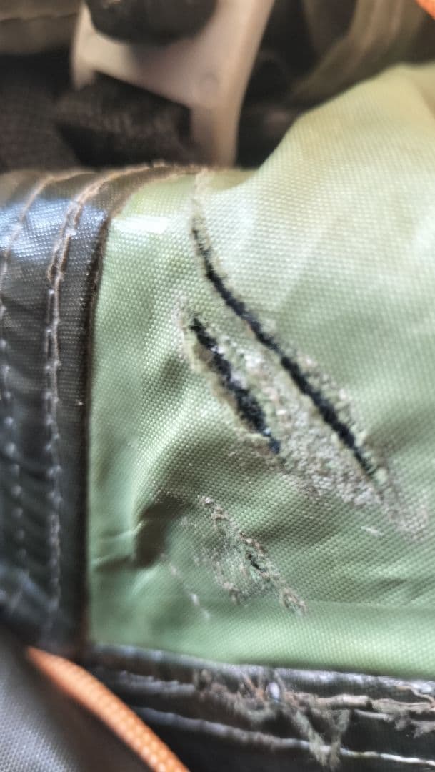 ロゴス テント・タープ スペースベース デカゴン-N 71459008 キャンプ