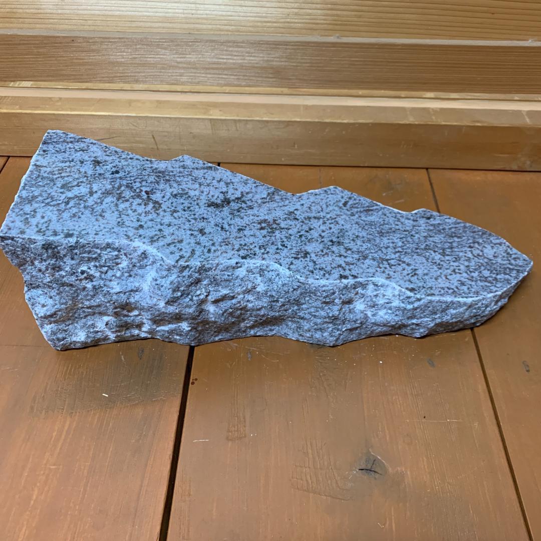 爬虫類　バスキングスロープ　16