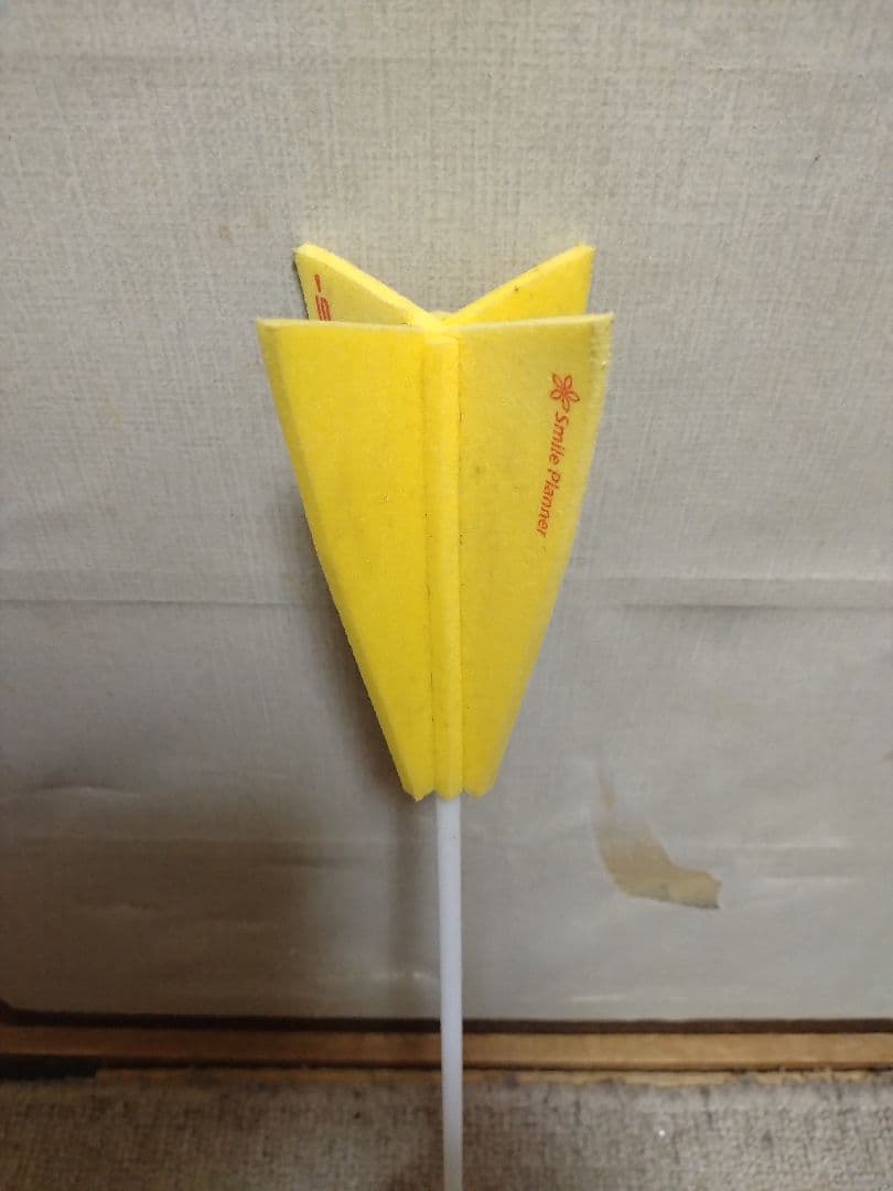 キレダスセット