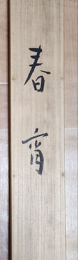 【春宵図(夜桜)】山崎豊 1006 共箱 掛け軸 肉筆