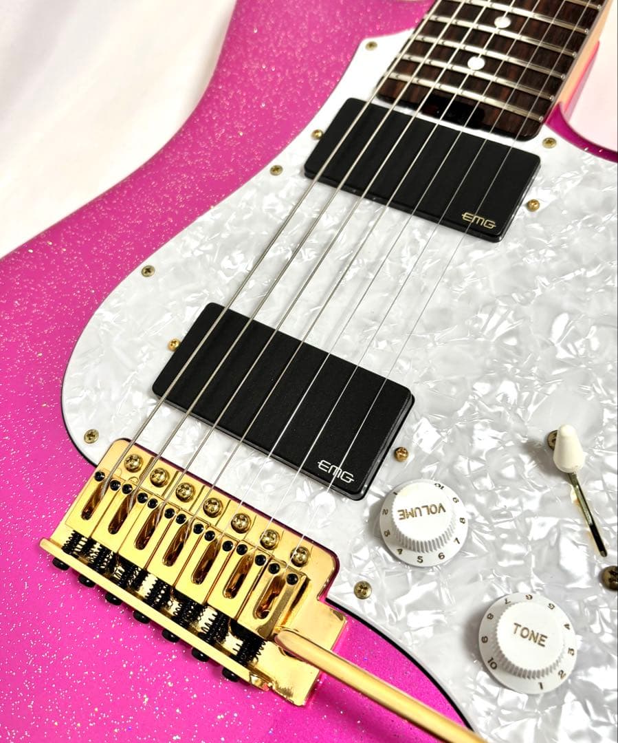 【美品、新品弦張替済】Edwards エレキギター E-SN7-210TO 7弦