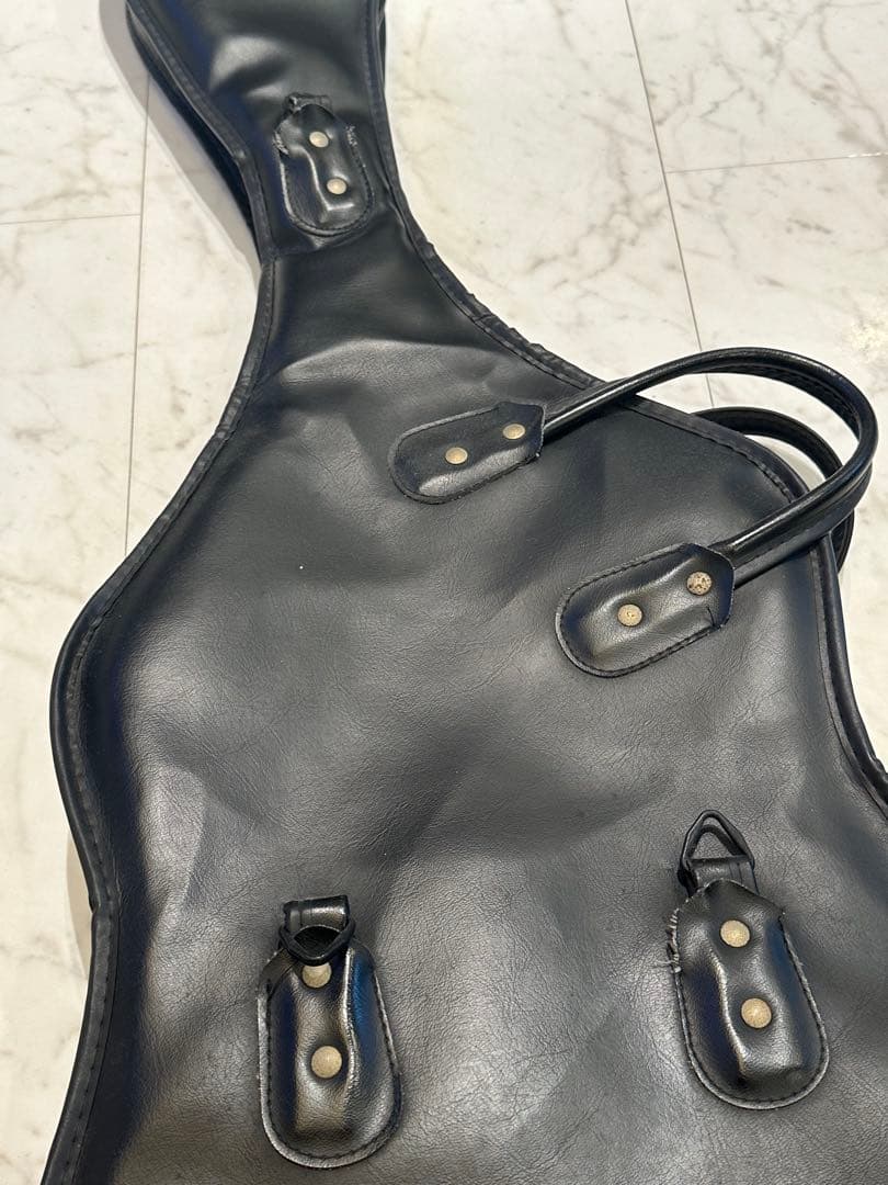 FERNANDES TE-95 HT BlackLine フェルナンデス布袋寅泰