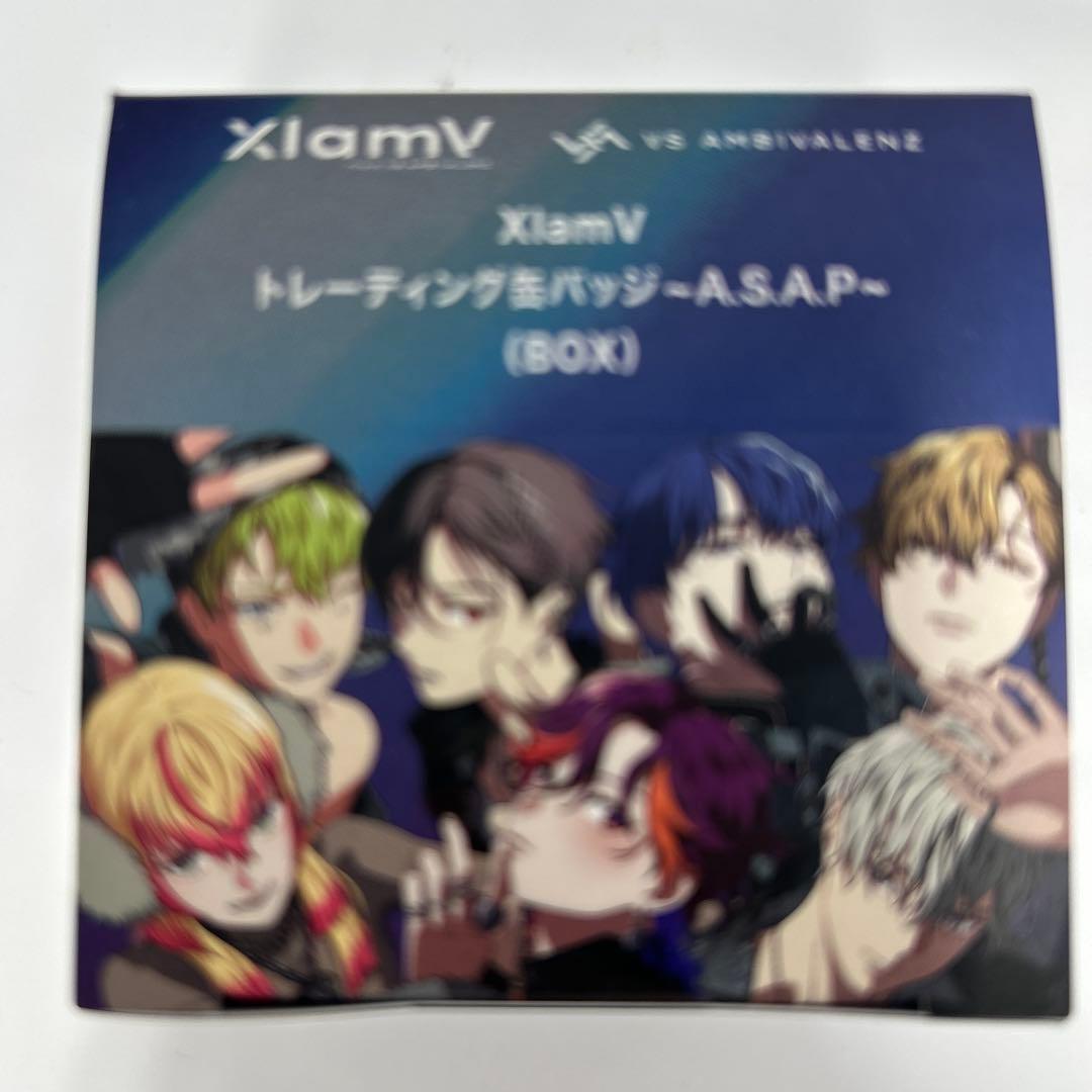 VS AMBIVALENZ XlamVトレーディング缶バッジA.S.A.P.3箱