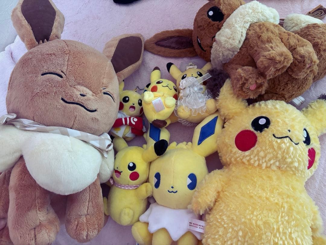 ポケモン　ぬいぐるみセット