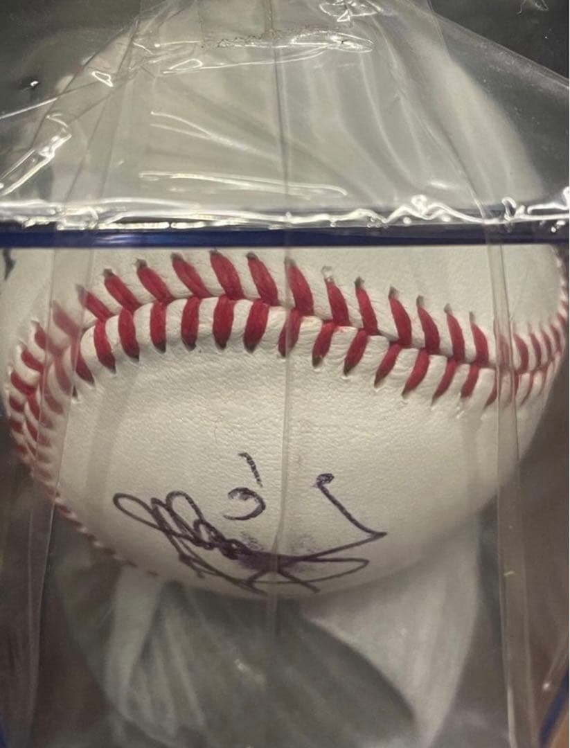 松本哲也選手　直筆サインボール ジャイアンツ　シーズンシート　オーナー　巨人軍