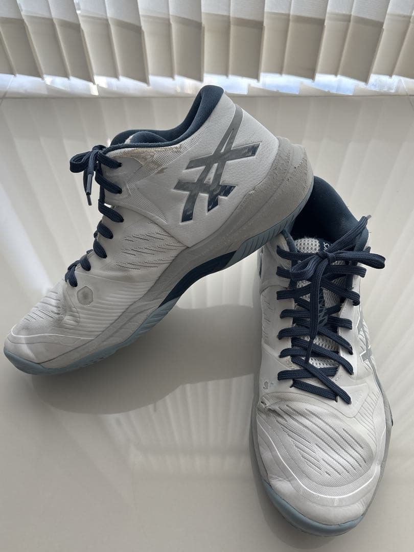 ASICS /スカイエリートFF MT3 /ホワイト/ドルフィングレー28㎝