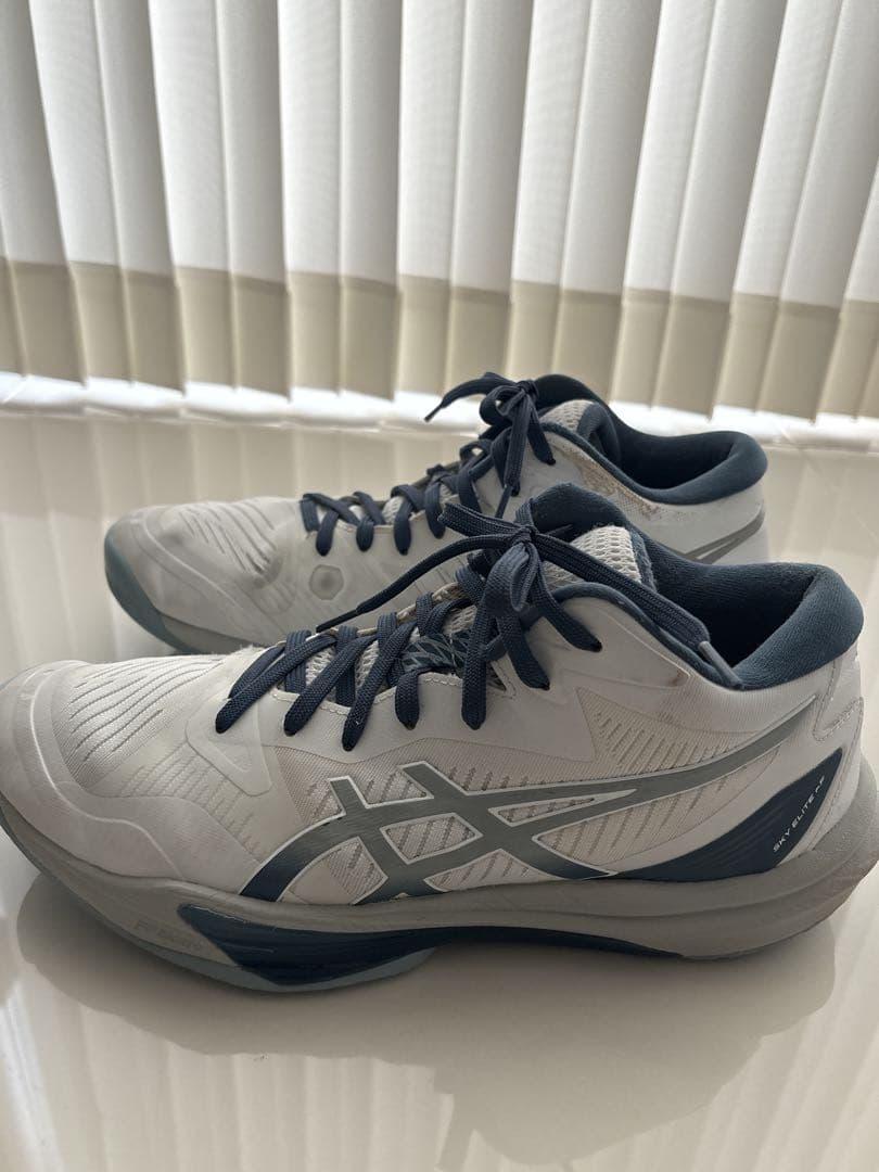 ASICS /スカイエリートFF MT3 /ホワイト/ドルフィングレー28㎝