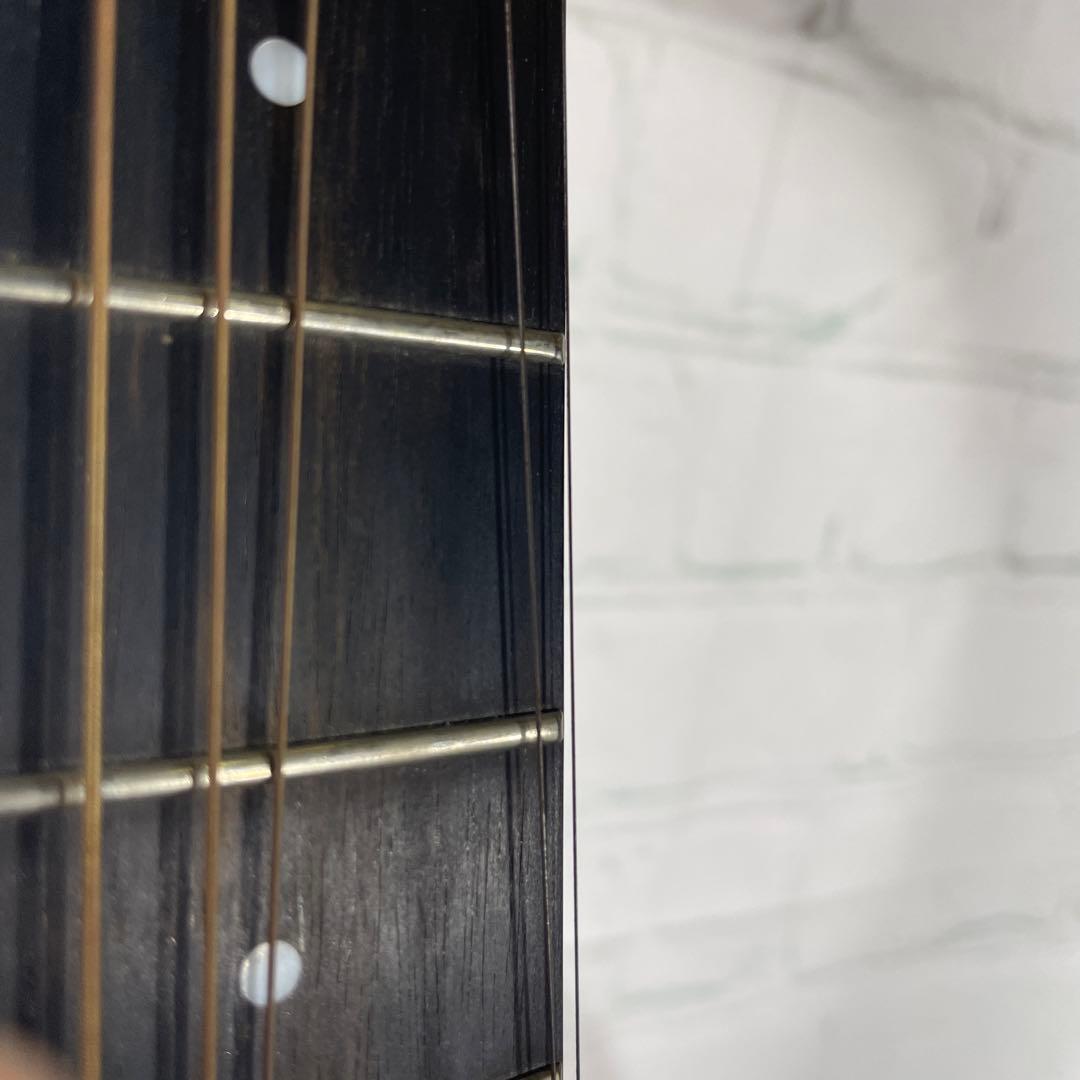 aNueNue BIRD M52 アコースティックギター