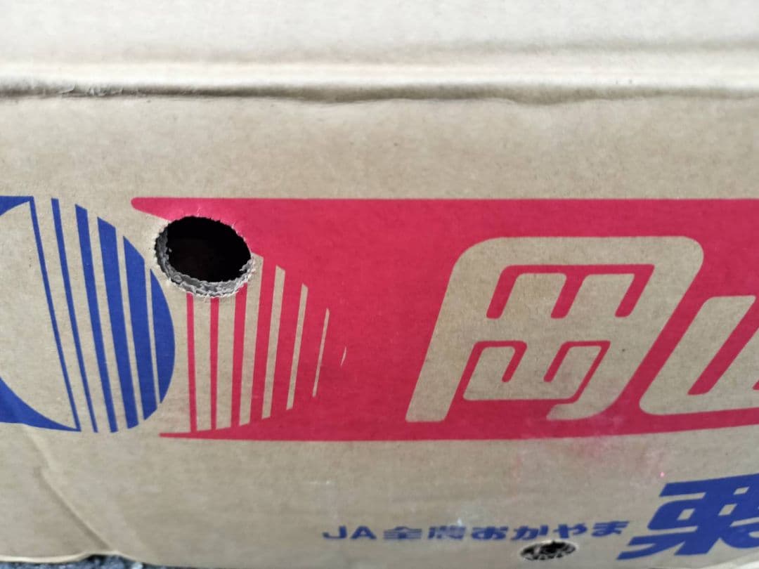 利平栗 岡山県産 10kg