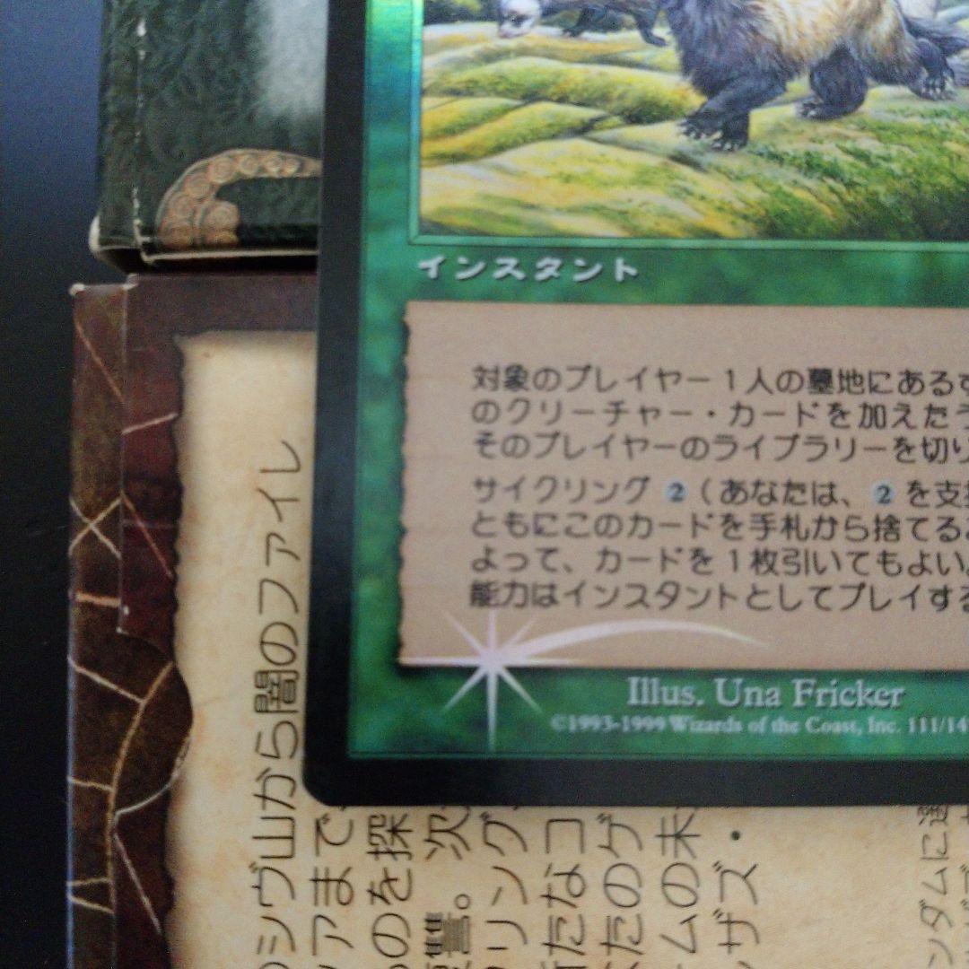 MGT 再入植 日本語 インスタント Foilカード キラ 箔押し プレミアム