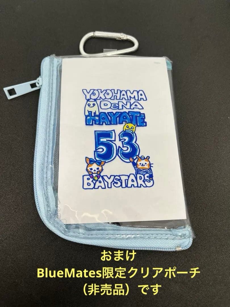 横浜DeNAベイスターズ 中川颯　直筆サイン入りアクリルアートパネル おまけ付き