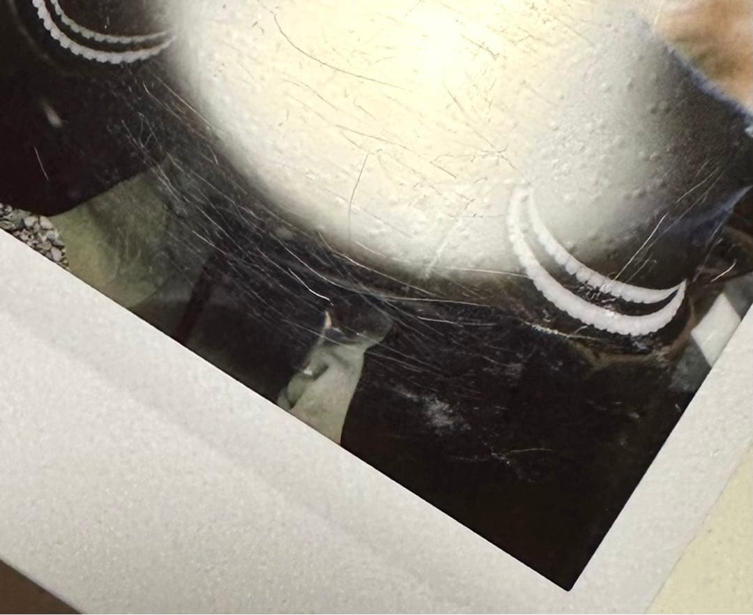 BOYNEXTDOOR ボネクド　イハン　チェキ　ポラロイド