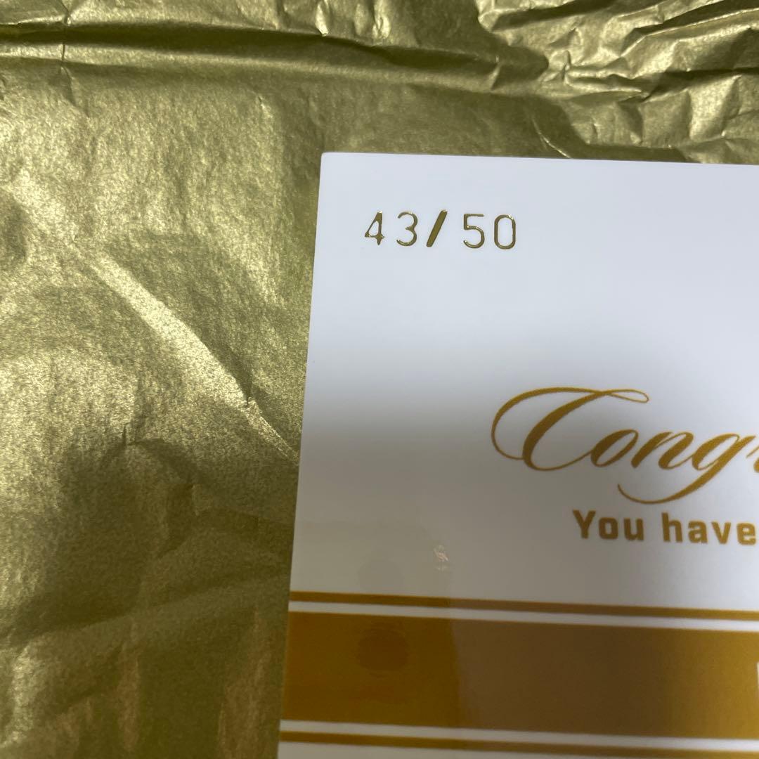 ブルースリー 世界50枚