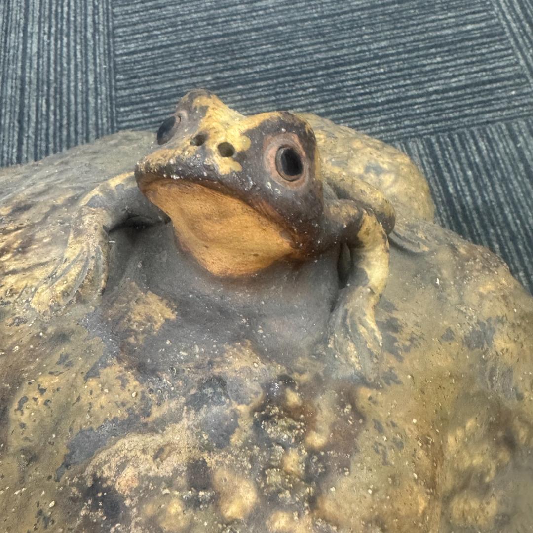 信楽焼 親子蛙 かえる 置物 蛙 カエル 縁起物