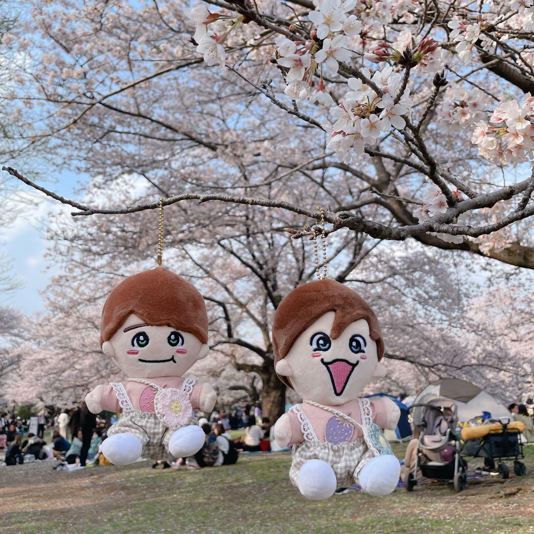 【オーダーページ】ちびぬい 服 チューリップハット