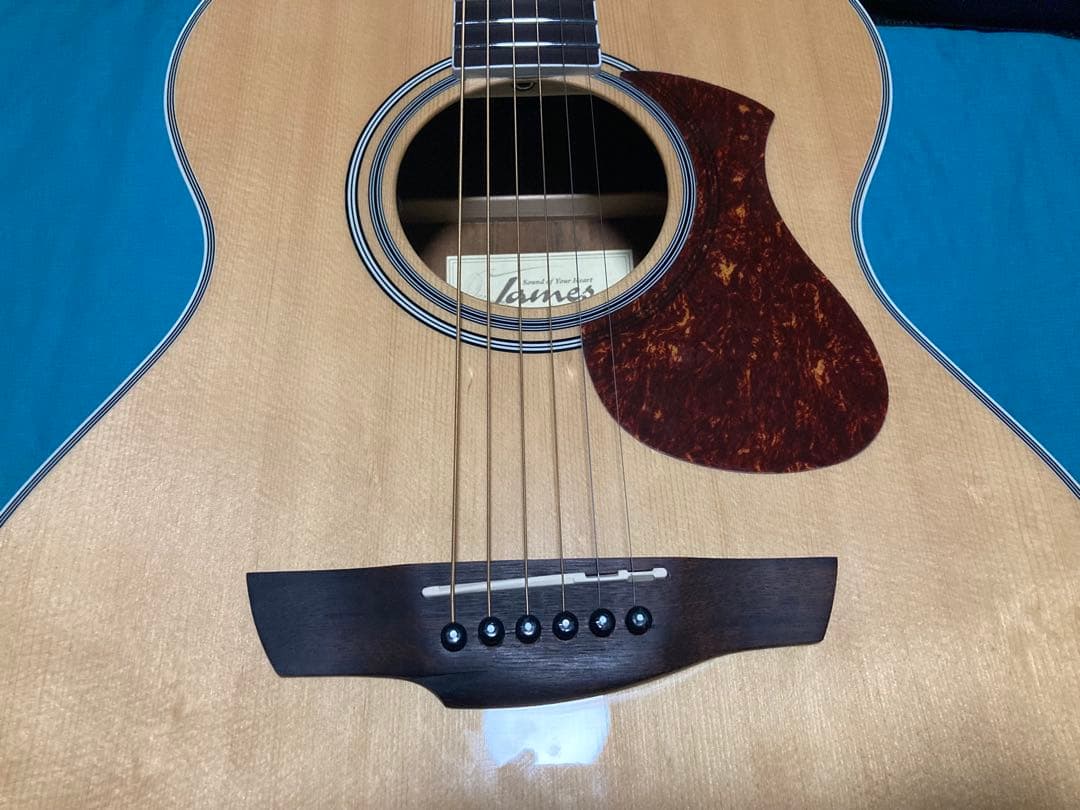 James J-450A/Ova NAT ジェームスエレアコギター