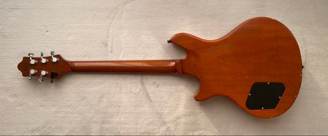 ESP POTBELLY CUSTOM ORDER （専用ESPハードケース付）