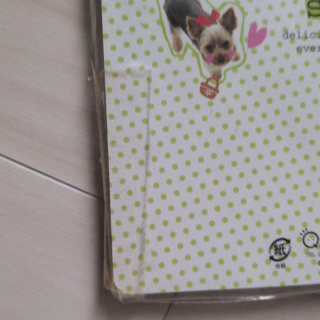 未使用品ブック型メモ帳　平成レトロ　外国人女の子　昔クーリア