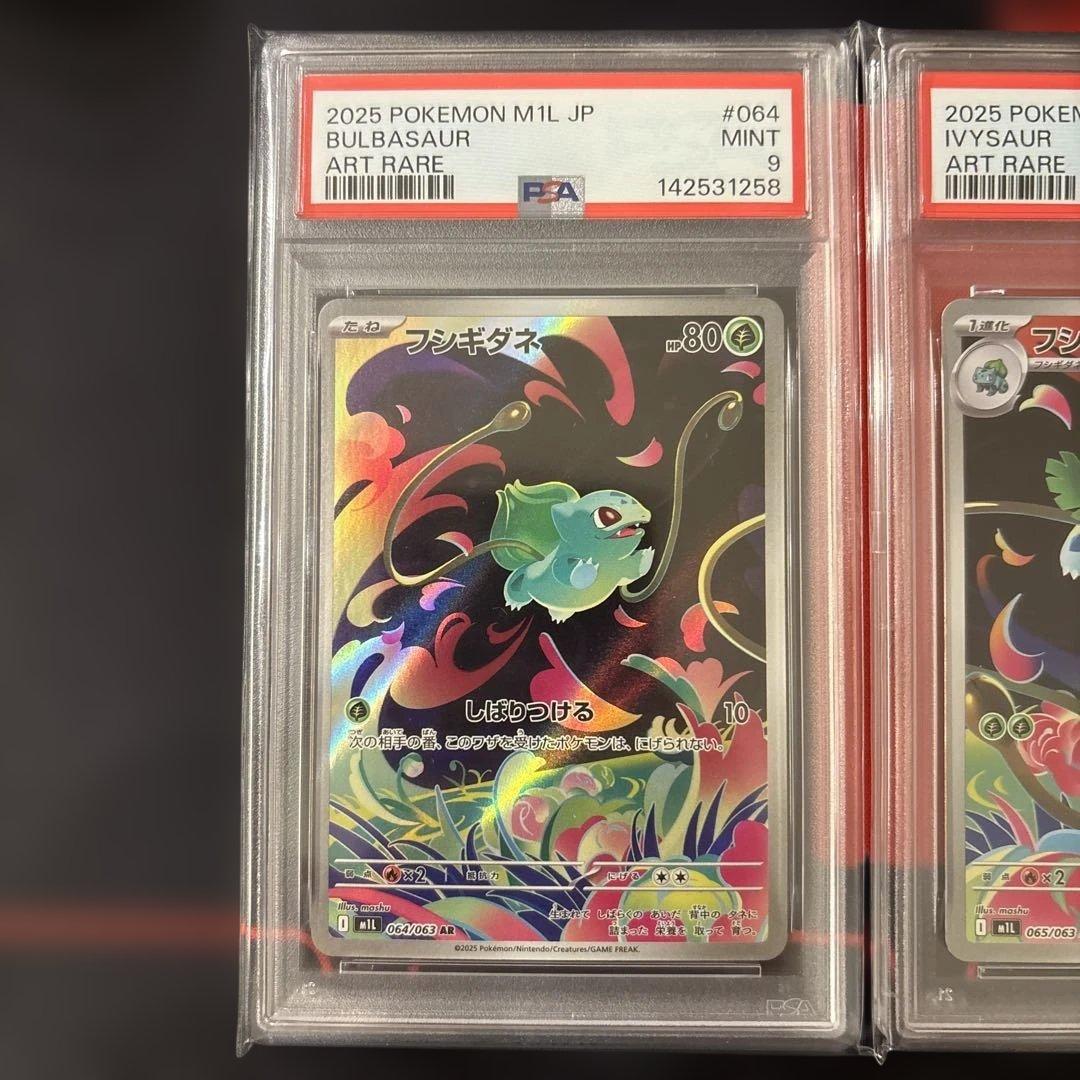 3連番　フシギダネ フシギソウ AR メガフシギバナex SAR