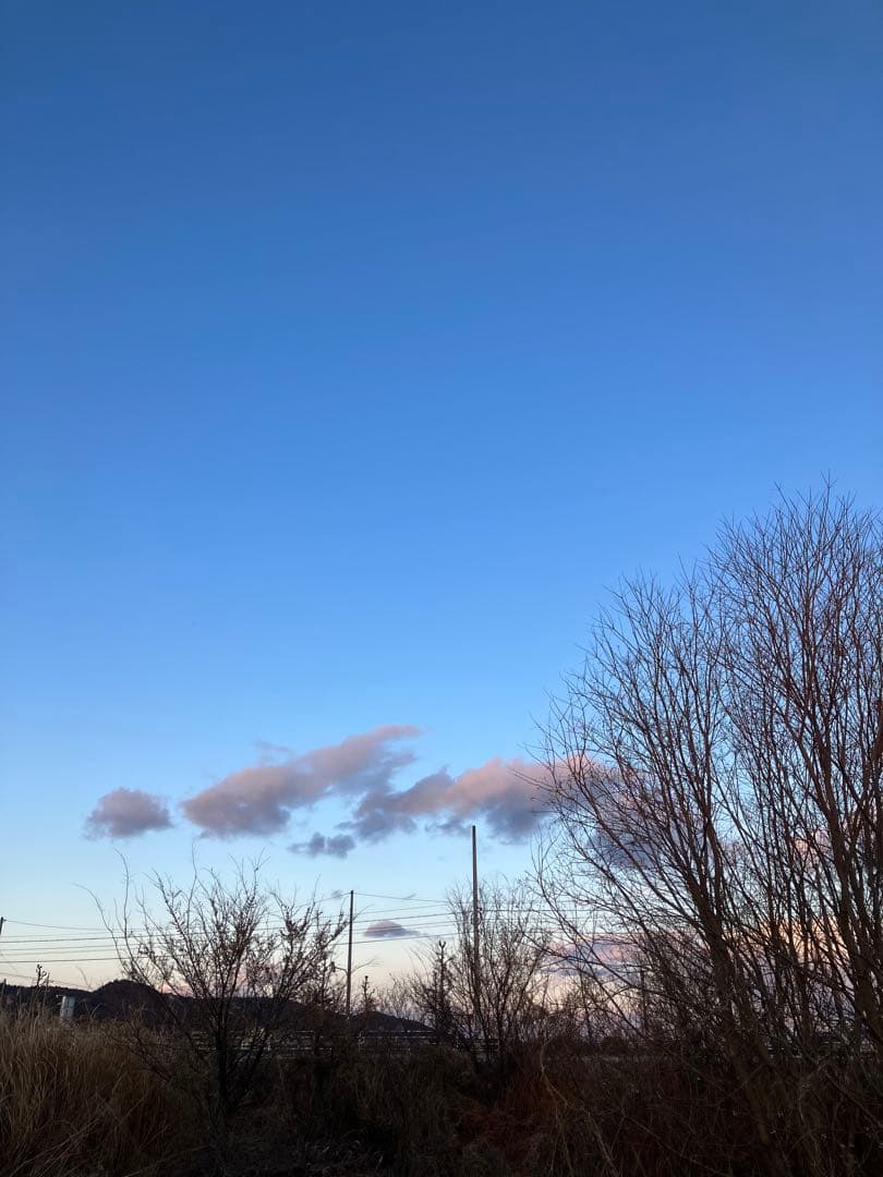 お米　令和6年度米　20kg自然栽培　農薬不使用　化学肥料不使用　岡山県倉敷産