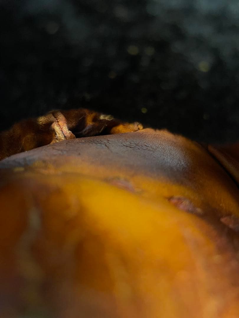 レア！　野球 硬式グローブ 一般用　大人　右投げ　グラブ　内野　右利き　ミズノ