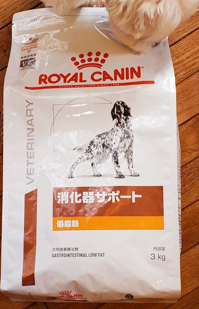  CANIN 消化器サポート 低脂肪 3kg×2