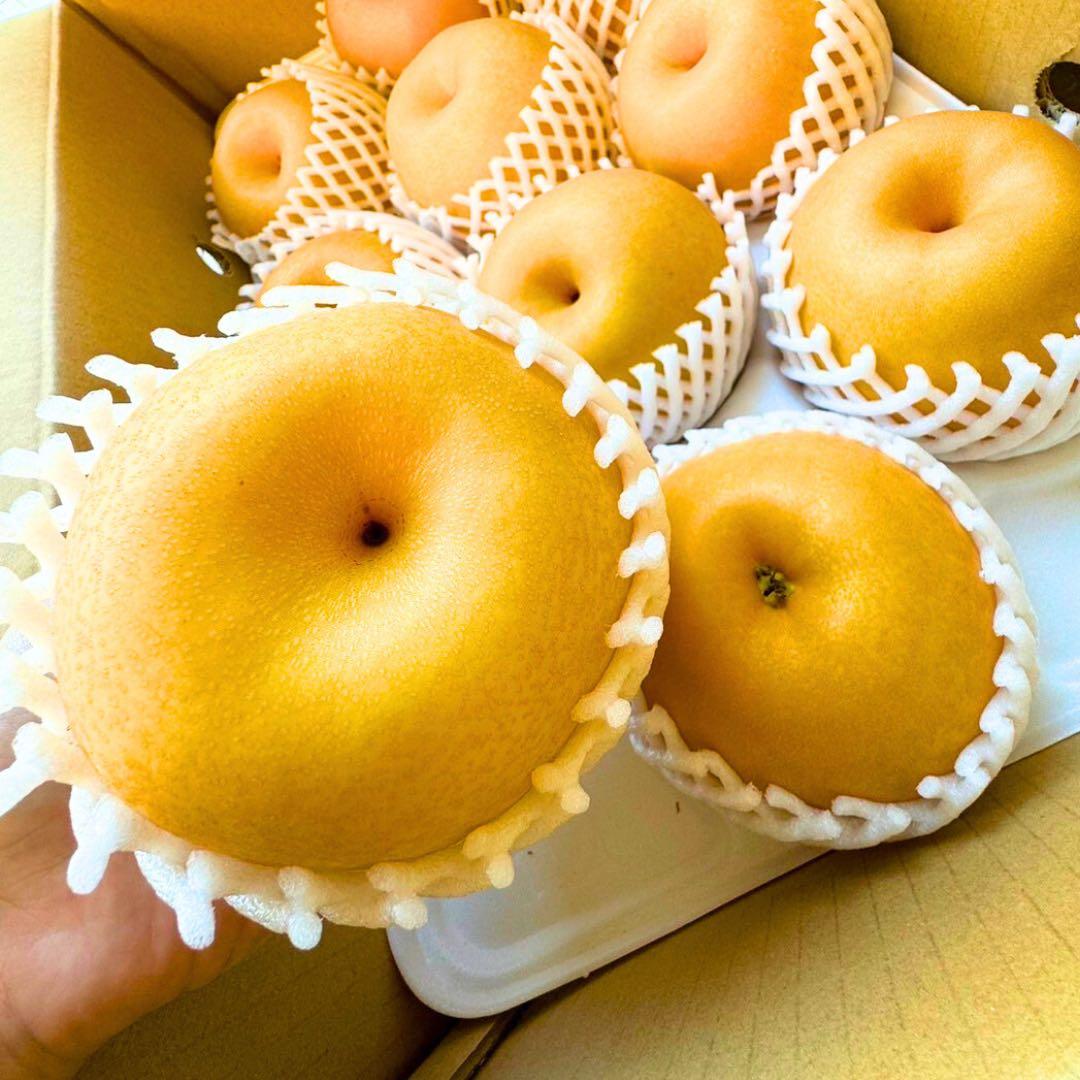 梨　新高梨　30玉　　03