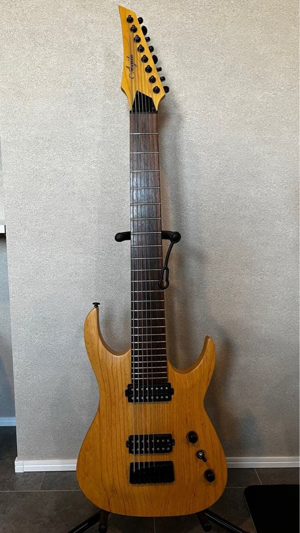 8弦ギター Agile ベアナックル&ディマジオSeptor 多弦