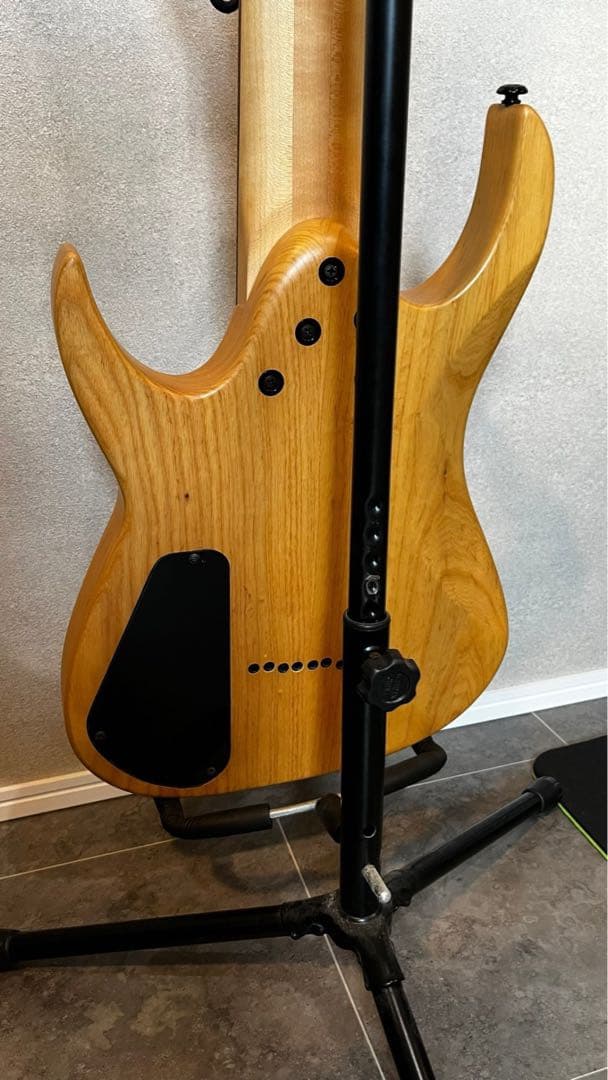 8弦ギター Agile ベアナックル&ディマジオSeptor 多弦