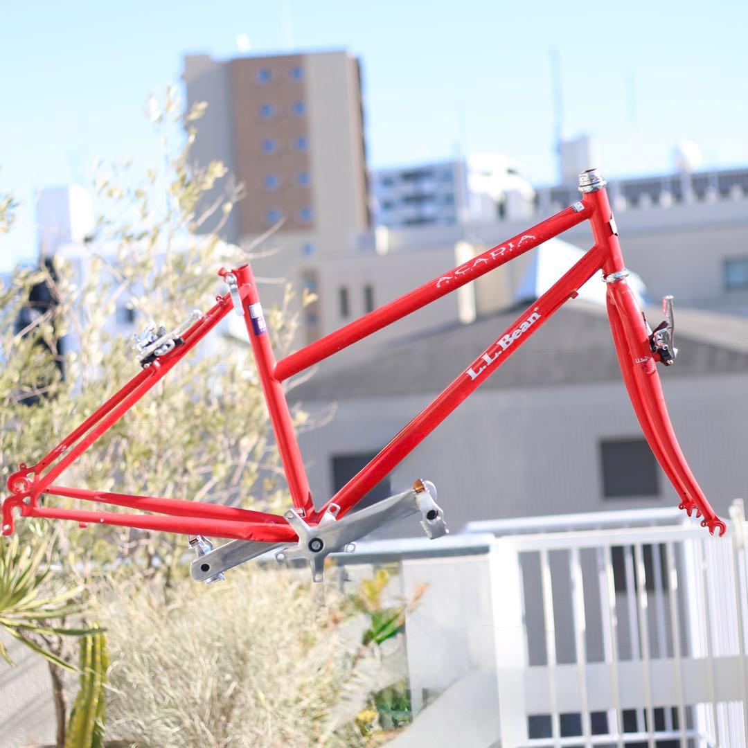 LLBEAN エルエルビーン OLD MTB 自転車 フレーム クロモリ