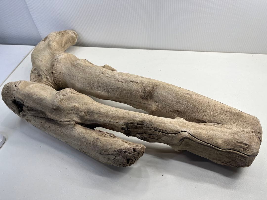 k6大型流木 アク抜き済み 爬虫類シェルター レイアウト用 登り木 インテリア