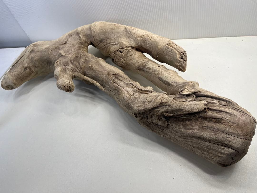 k6大型流木 アク抜き済み 爬虫類シェルター レイアウト用 登り木 インテリア