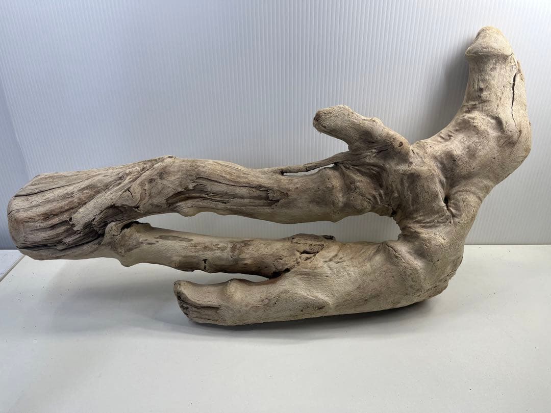 k6大型流木 アク抜き済み 爬虫類シェルター レイアウト用 登り木 インテリア