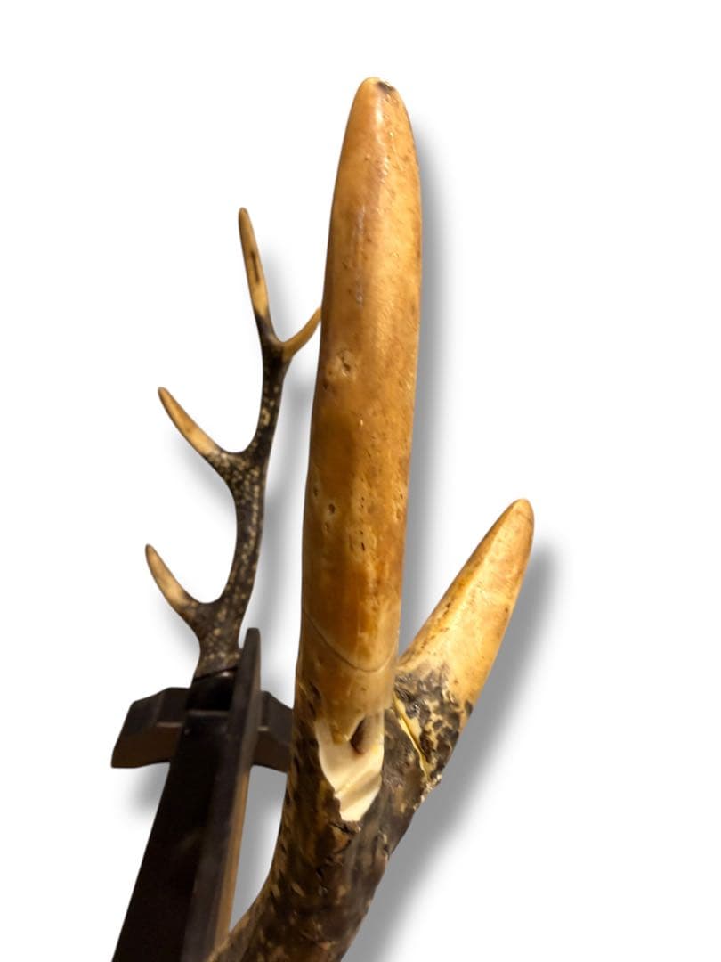 #模造刀 4振り鹿角風 刀剣ディスプレイセット