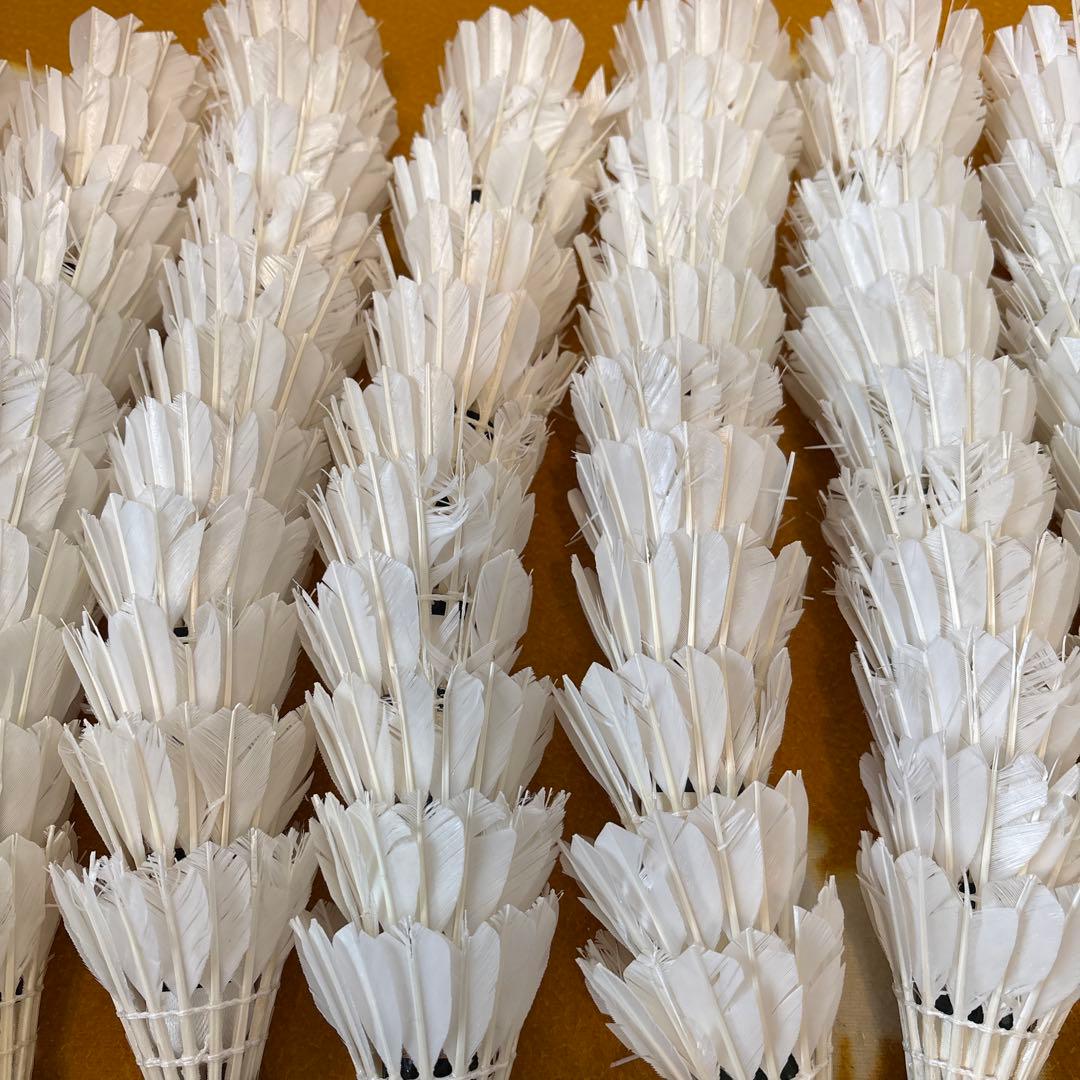 バドミントン　ノック用シャトル　220球セット　ヨネックス　ゴーセン