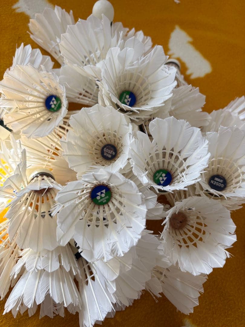 バドミントン　ノック用シャトル　220球セット　ヨネックス　ゴーセン