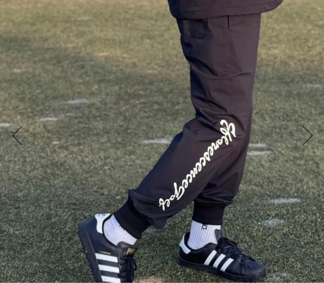 エフロレッセンス　セットアップ