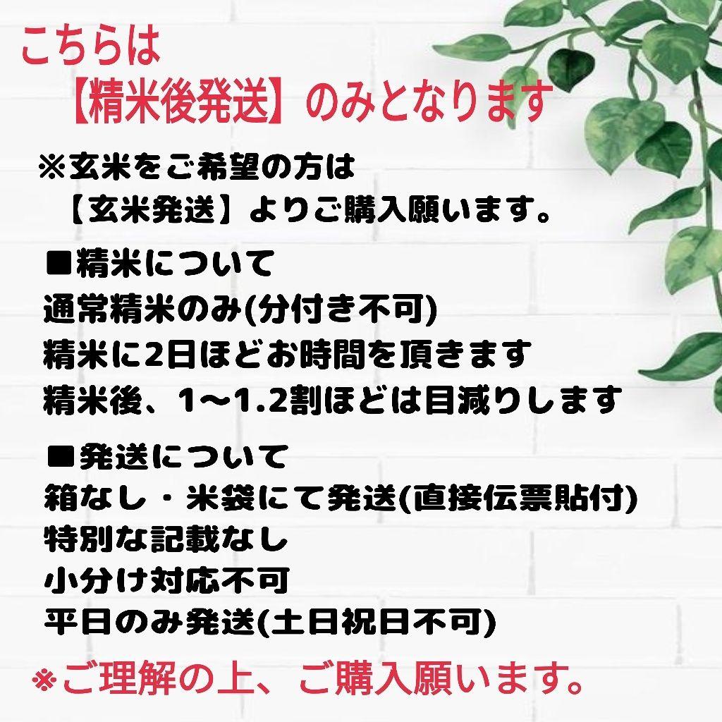 令和7年産 茨城県産 コシヒカリ 白米 精米代込み 10Kg 10キロ ②