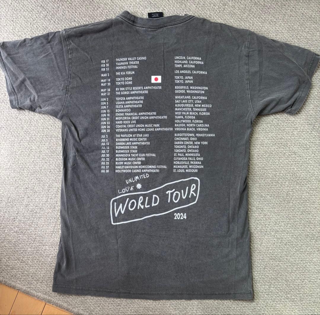 レッチリ　Tシャツ　東京ドーム　M