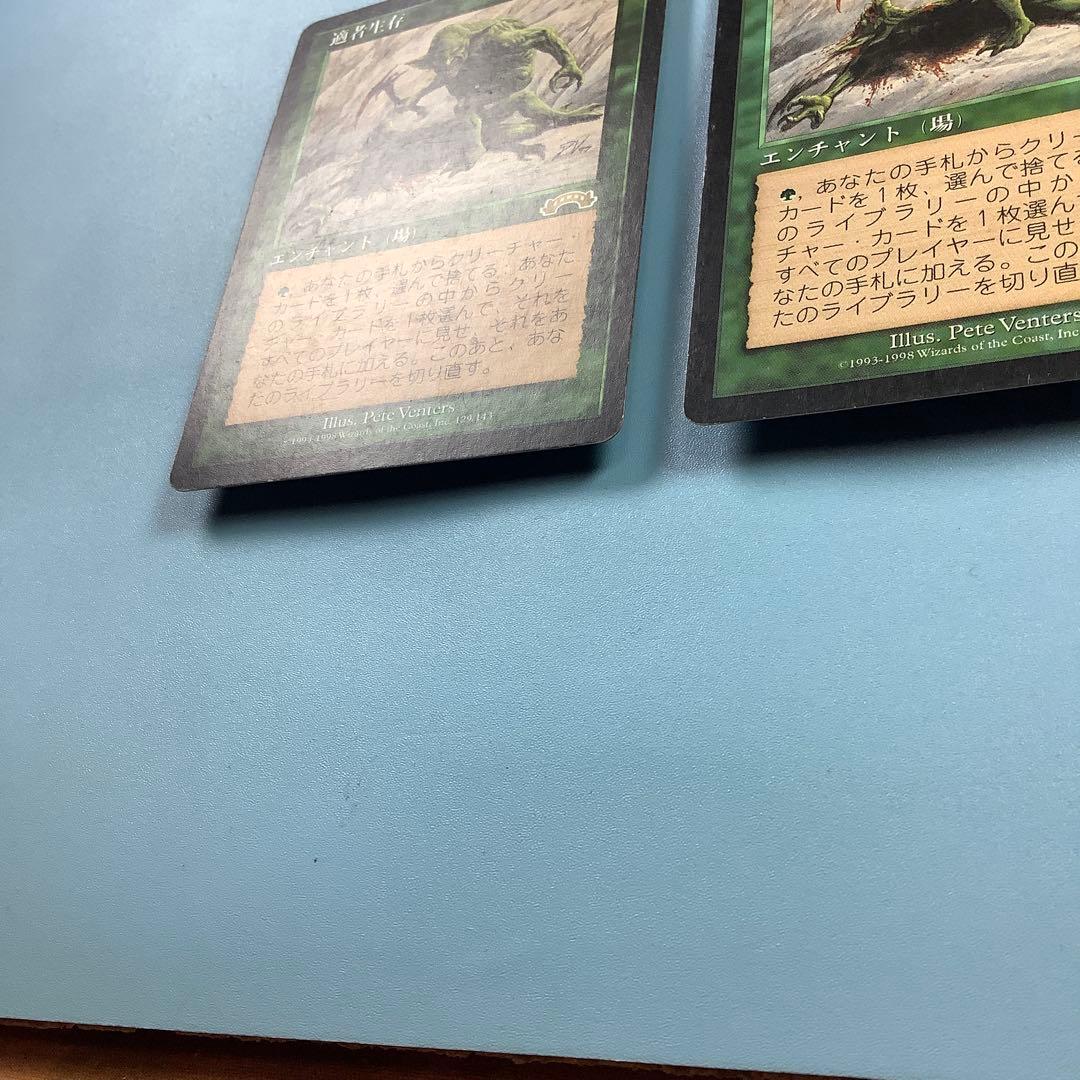 *バラ売り可* 適者生存　 EXO日本語2枚セット