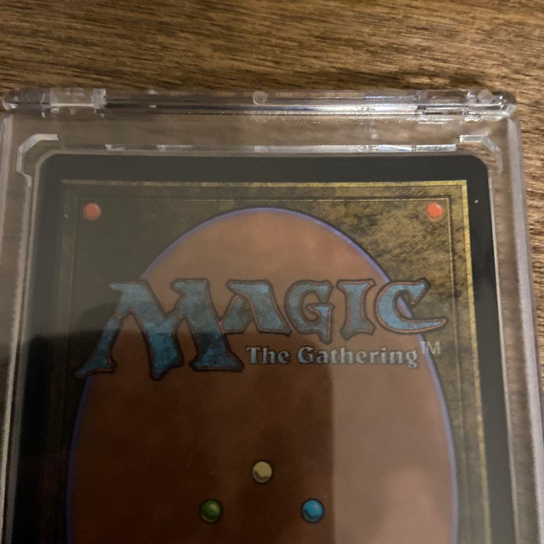 MTG ティシャーナの潮縛り　ジャパンオープン　プロモ