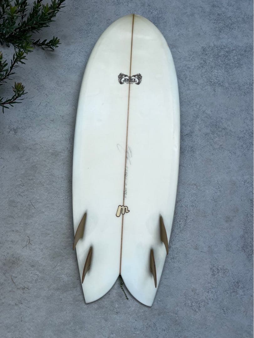 サーフィン・ボディボード THE SWIFTMOVEMENT BOB MITSVEN SKIP FRYE