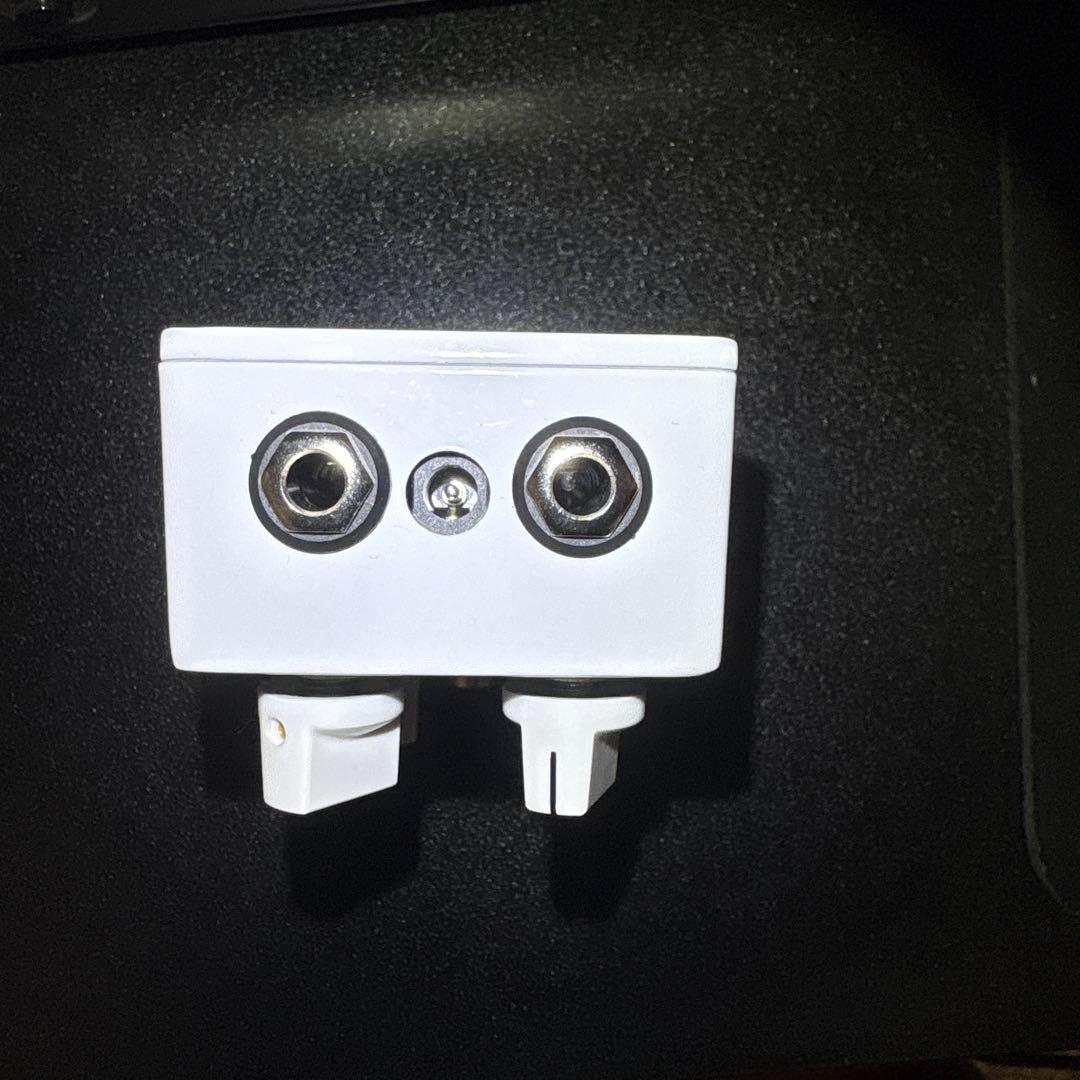 EarthQuaker Devices Dispatch Master 美品