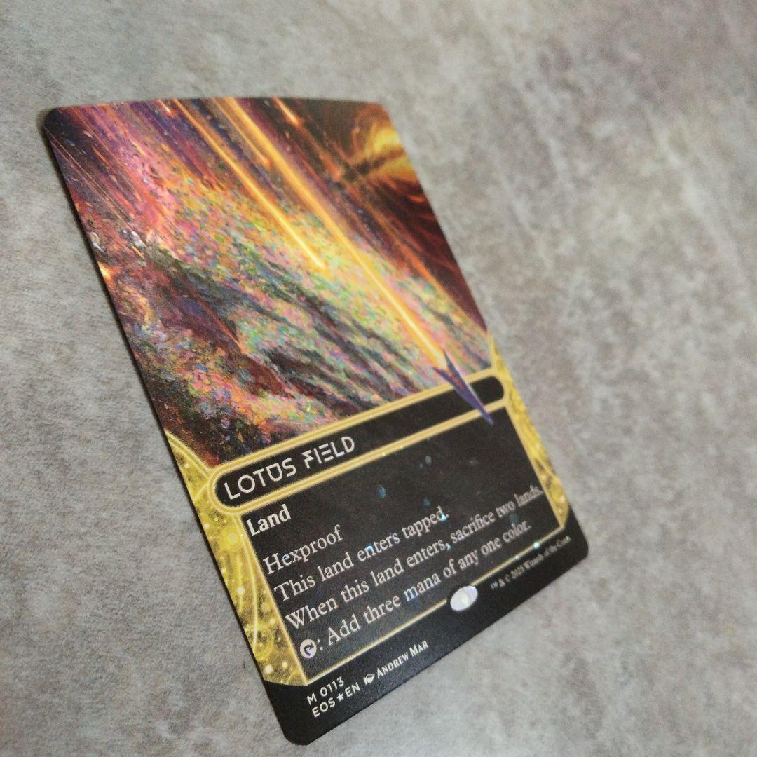 MTG　英語版foil　睡蓮の原野