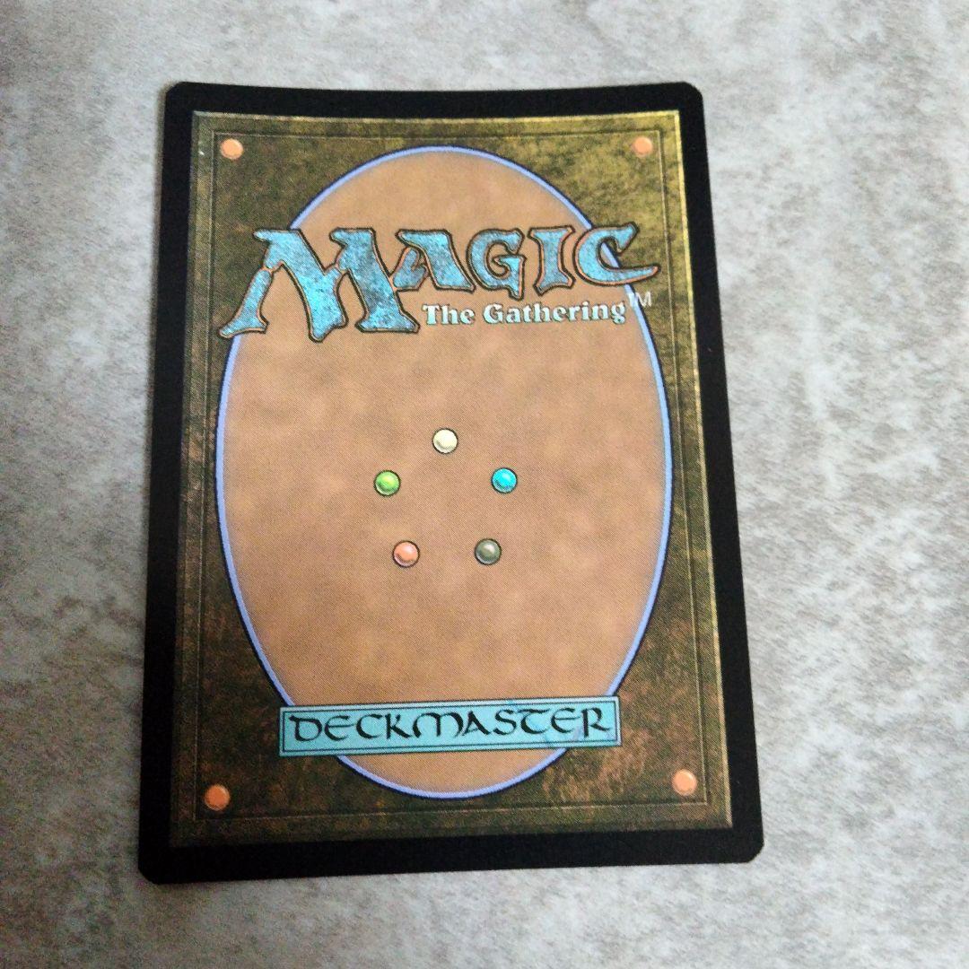 MTG　英語版foil　睡蓮の原野