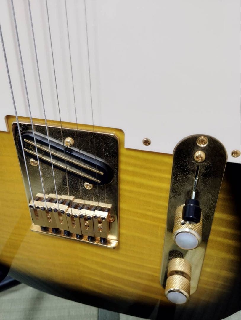 ベッツFender Ritchie Kotzen Telecaster