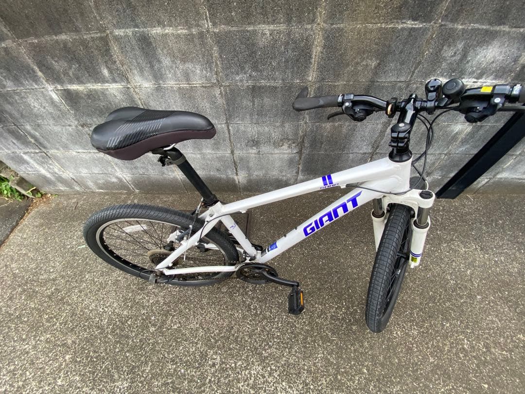 Rojan Rajthala　giant SNAP2022年白マウンテン