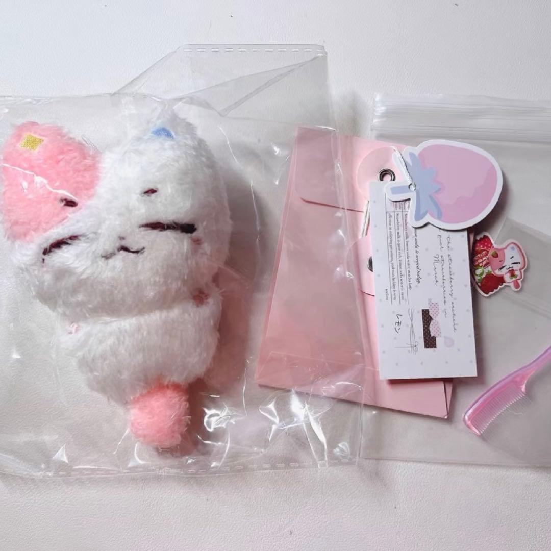 txt ヨンジュン 10cm ぬいぐるみ　新品　マスター